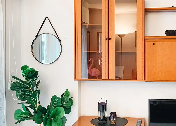 Pink Flamingo • In Torrevieja